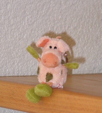 Gluecks-Dreckschwein