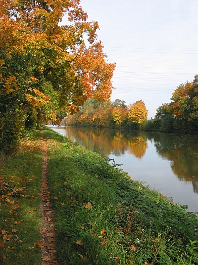 Herbstimpressionen am Neckar