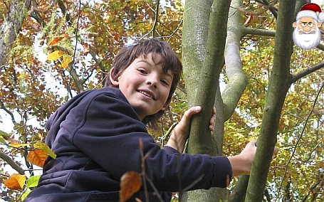 Luca auf dem Baum