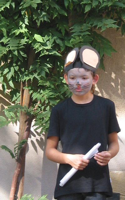 Luca Maus luboeinski